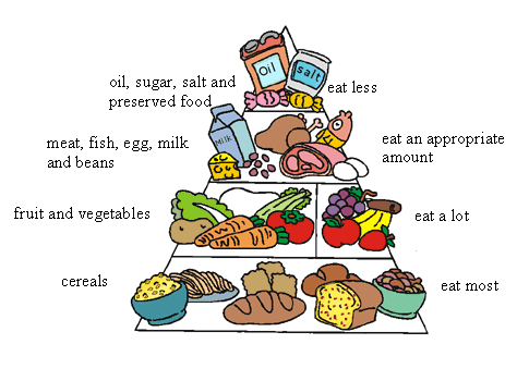 Balanced Diet Chart for Adults