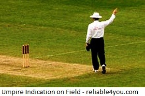 Cricket Umpire Position on Feild