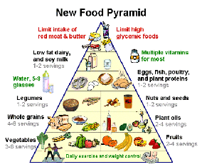 new_food_pyramid_3inch