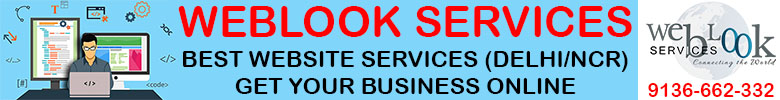 WebLook Services (Best Website Design & Development Company in DELHI/NCR)